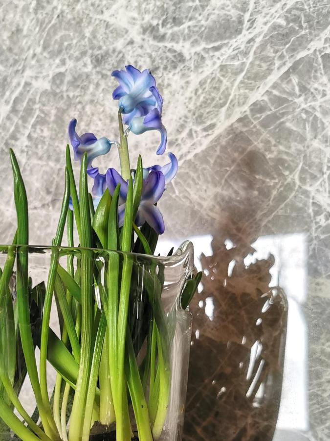 Siedlisko Koscielisko Apartment Ngoại thất bức ảnh